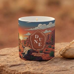 Chapter II — Arizona Dune